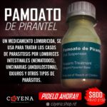 Pamoato de Pirantel – Antiparasitario natural | Cayena Shop