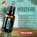Aceite de Eucalypto