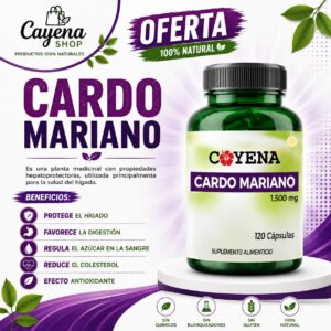 Cardo Mariano