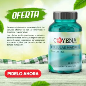 Cellulas Madres