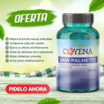 Saw Palmetto