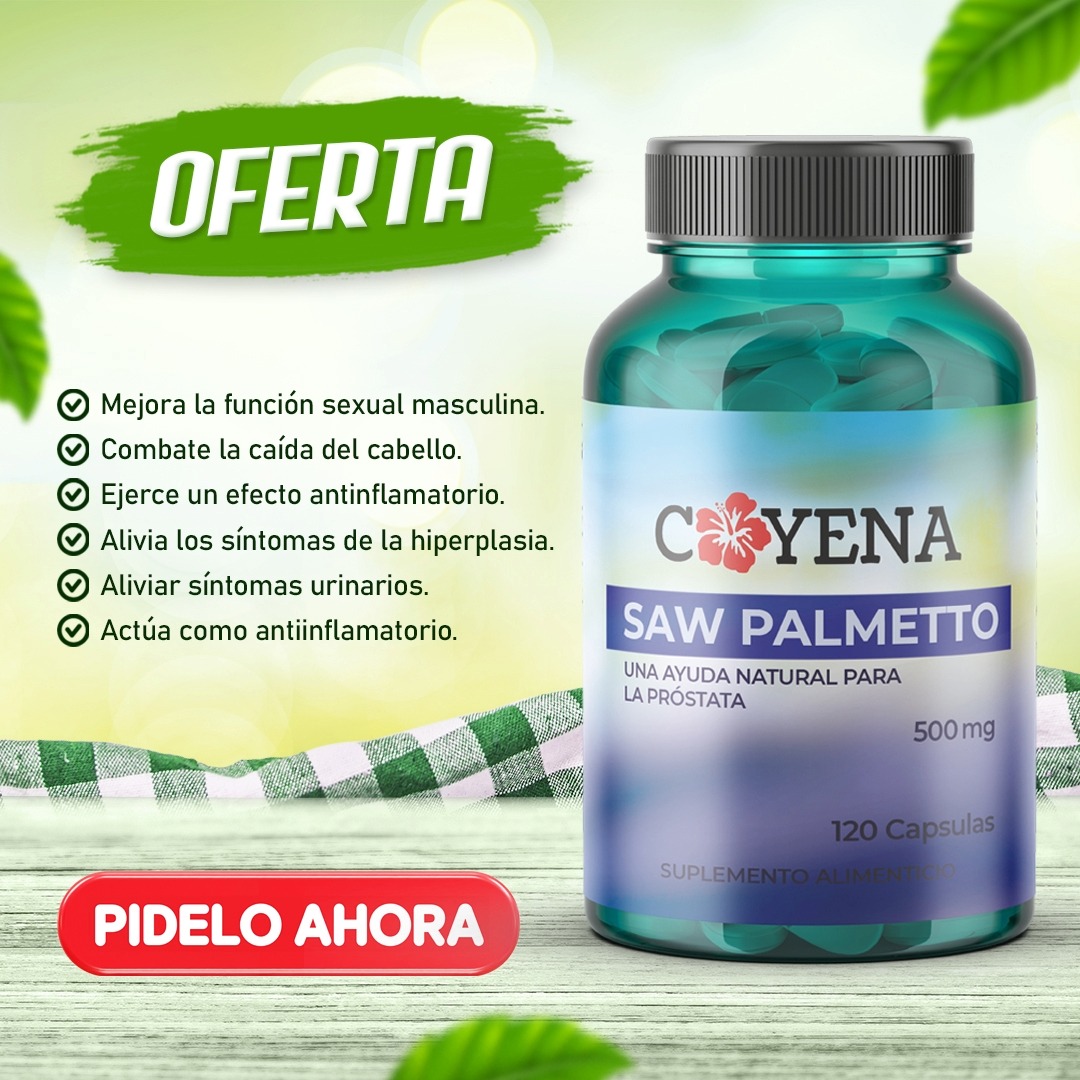 Saw Palmetto 1 Saw Palmetto