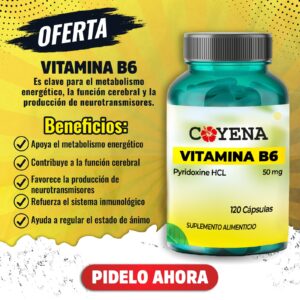 Vitamina B6
